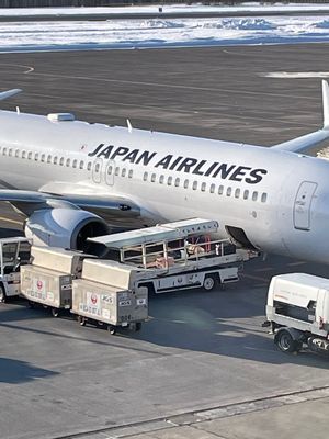 飛行機遅延
東京　大雪　雷