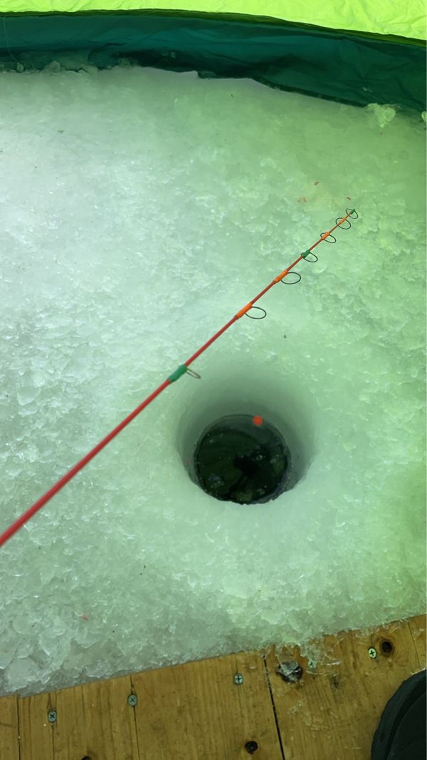 日本・北海道「冬の北海道」の写真：ワカサギ釣り