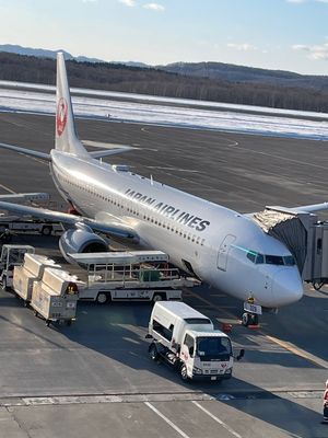 飛行機遅延
東京　大雪　雷