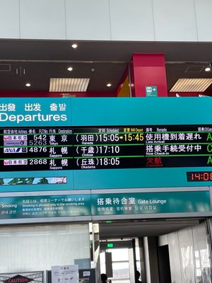 飛行機遅延
東京　大雪　雷