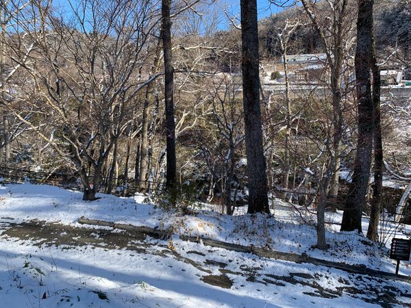 日本・宮城県「秋保温泉」の写真
