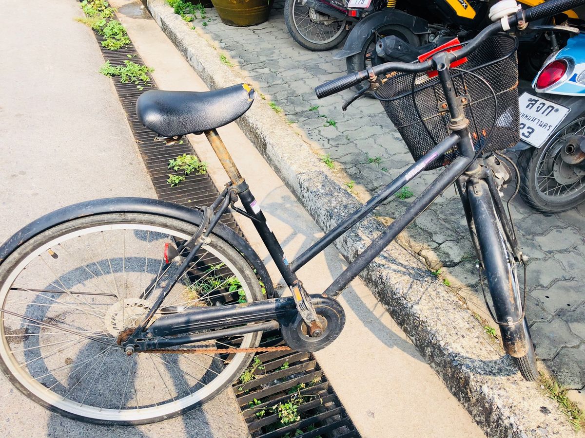 バンコクから電車でアユタヤへ。自転車を借りて観光🚲
