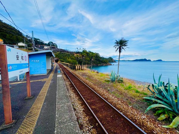 日本・高知県「弾丸高知」の写真