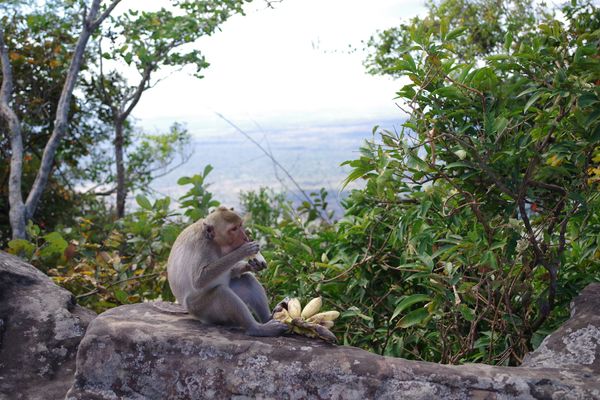 カンボジア・シェムリアップ「Siem Reap」の写真