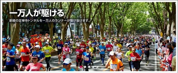 日本・宮城県「宮城　一泊旅ＲＵＮ　仙台国際ハーフマラソン」の写真：仙台駅で食べた牛タン定食。ボリューミーでした。