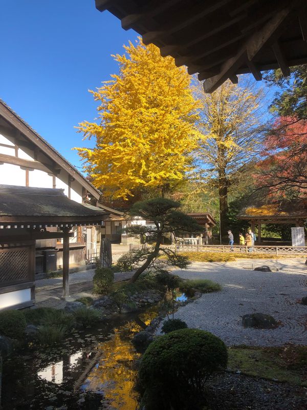 日本・糸島「福岡（糸島）」の写真：糸島観光