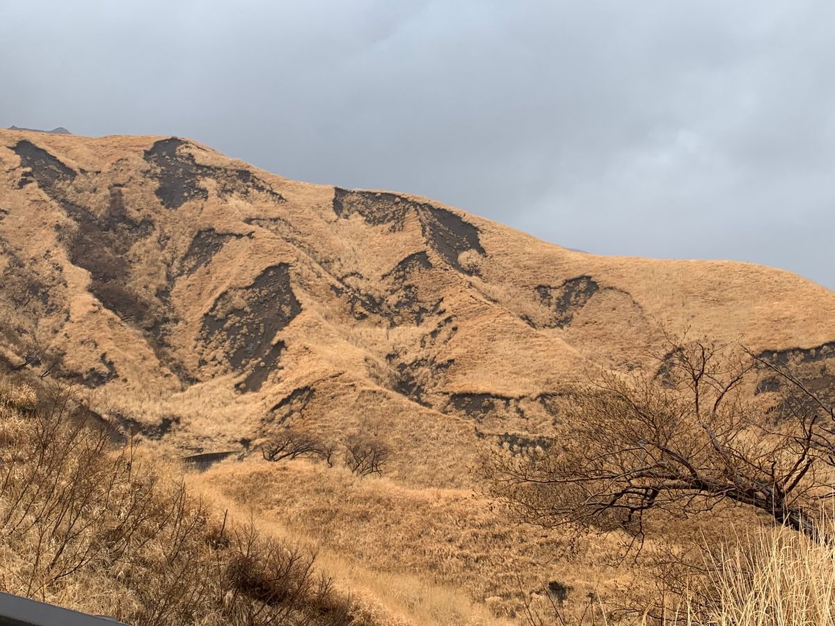 阿蘇山
生憎の雨でした☔