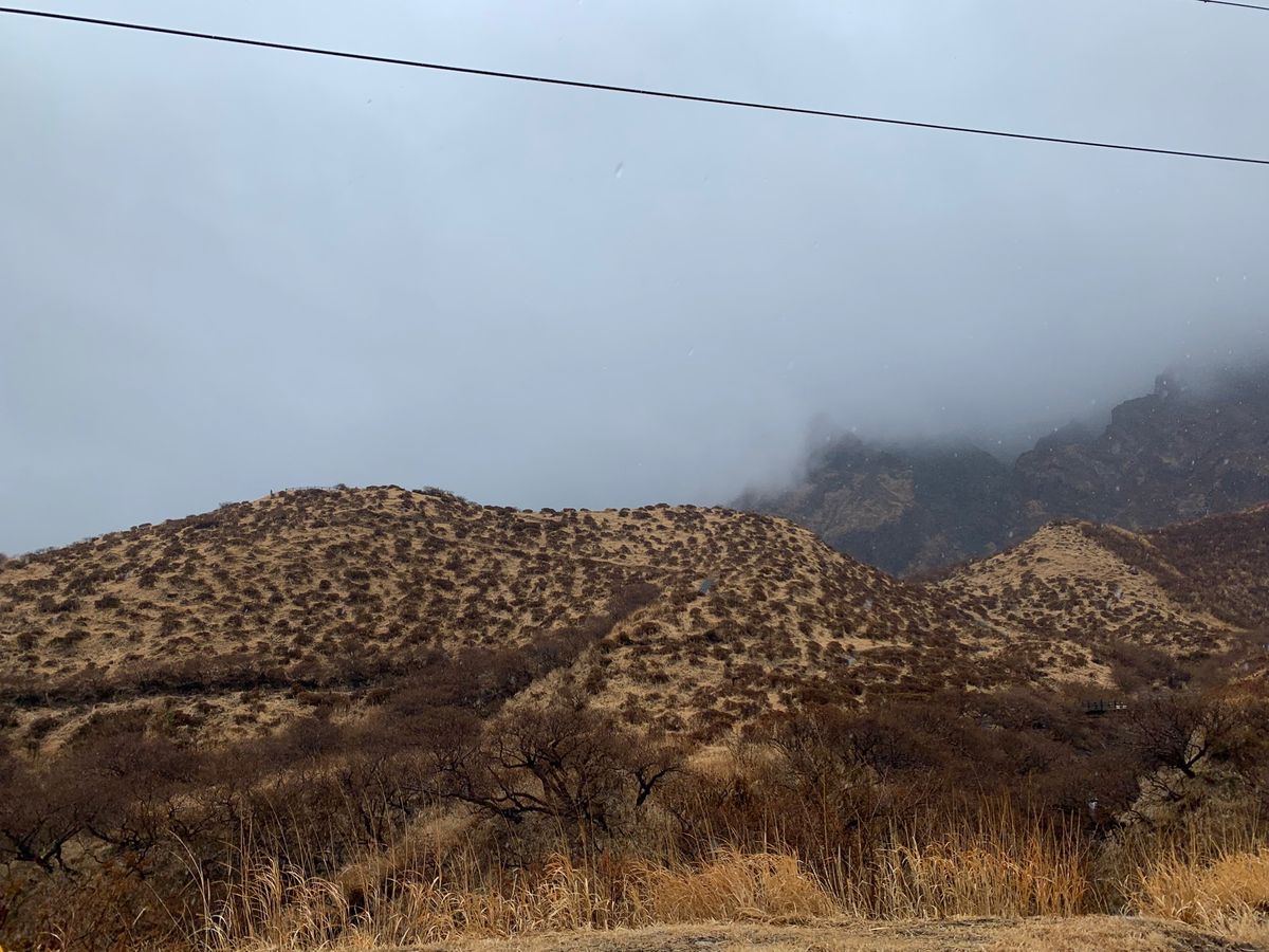 阿蘇山
生憎の雨でした☔