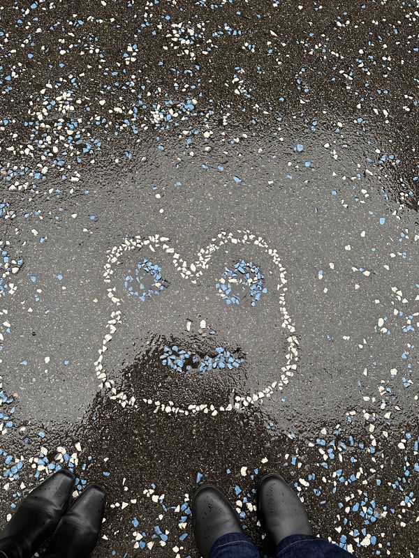 日本・岐阜県「下呂旅行🐸」の写真：下呂の風景🐸