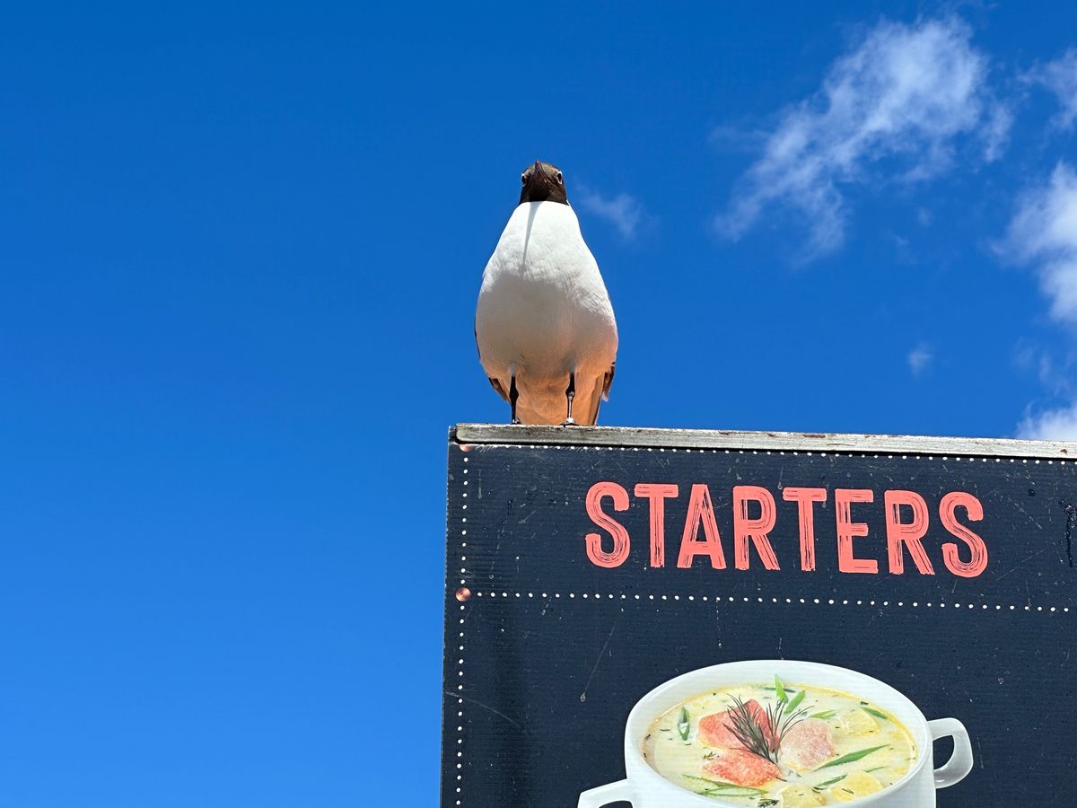 5/5
ヘルシンキでヒルトンに1泊
24hカードを駆使して観光