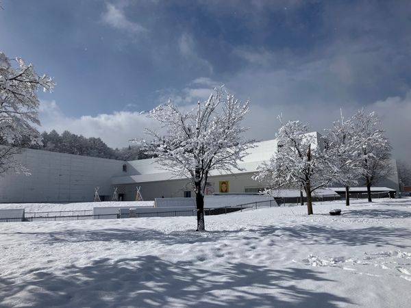 日本・青森県「日帰りみちのくひとり旅」の写真：青森県立美術館
あおもり丼
弘前城
味噌...
