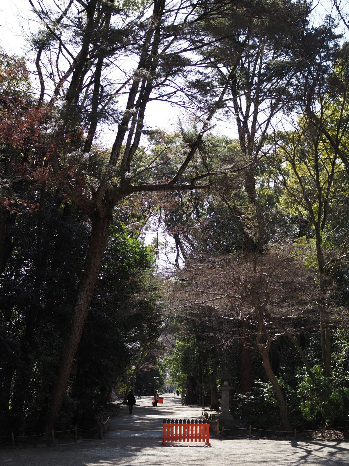 大好きな場所。
下鴨神社へ。
空気が澄んでて綺麗。