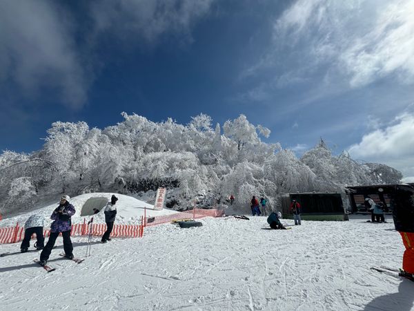 日本・軽井沢「軽井沢スキー」の写真：２日目は山頂にきた

雨が降ったり雪が降...