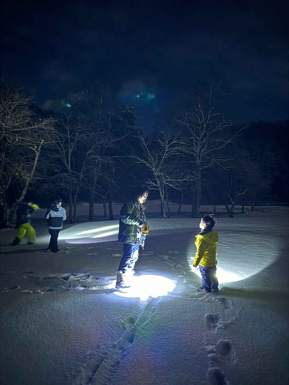 冬のナイトサファリツアーへ

2時間くらいかけて、浅間プリンスホテルのゴル...