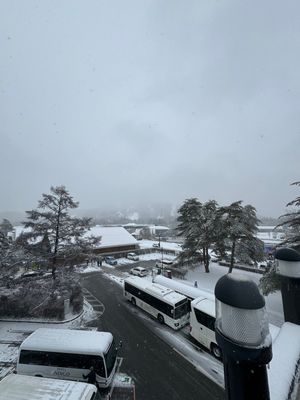 朝8時の新幹線に乗って軽井沢に到着。雪はほのかに降っていてスキーするにはい...