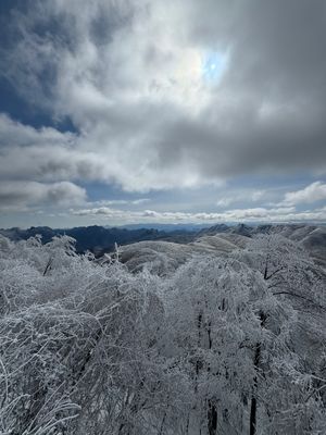 ２日目は山頂にきた

雨が降ったり雪が降ったりして樹氷みたくなっててめっち...