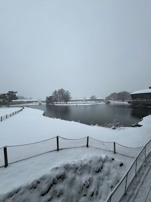 最終日も雪。こんなに雪降った軽井沢は初めてかも。先日東京で降った以来の雪み...