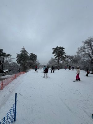 2月には珍しい雨が昨日降ったらしく、積雪の上の水にさらに積雪ということで凍...