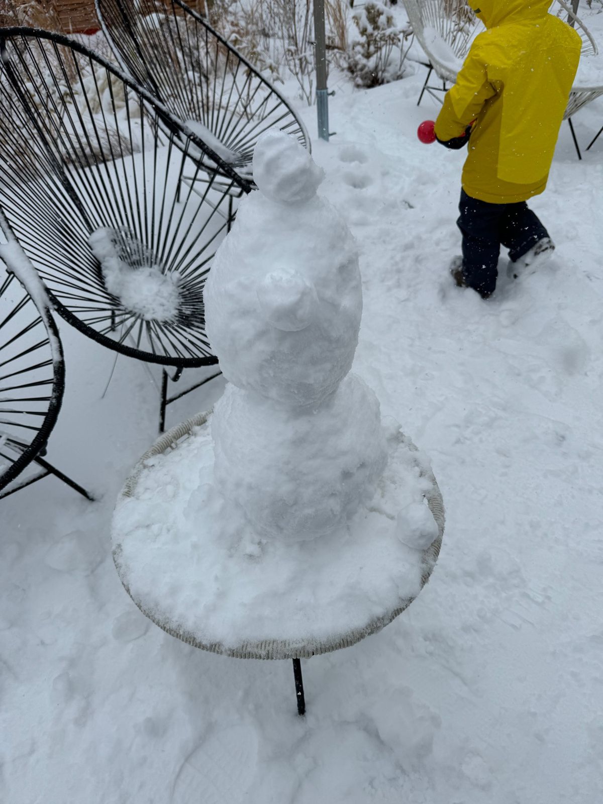 最終日も雪。こんなに雪降った軽井沢は初めてかも。先日東京で降った以来の雪み...