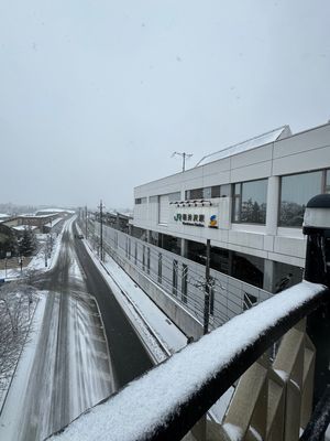 朝8時の新幹線に乗って軽井沢に到着。雪はほのかに降っていてスキーするにはい...