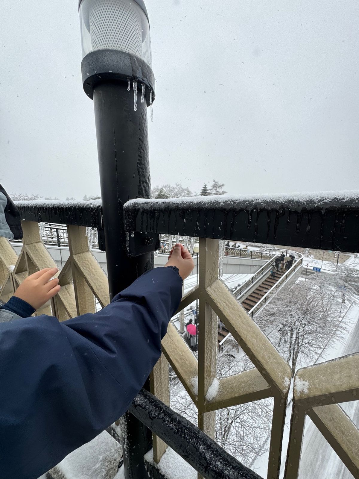 朝8時の新幹線に乗って軽井沢に到着。雪はほのかに降っていてスキーするにはい...