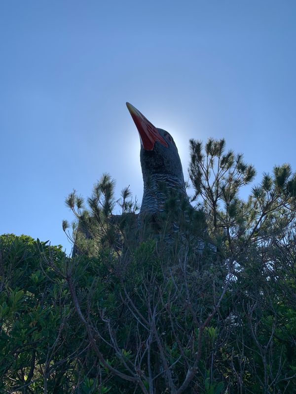 日本・沖縄「石垣島✨」の写真