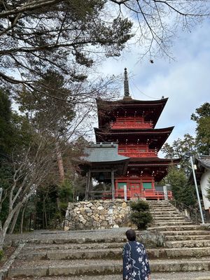 柏原八幡宮へ