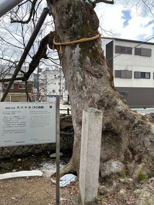 柏原八幡宮へ