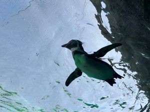 天王寺動物園