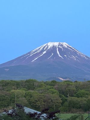 宿より