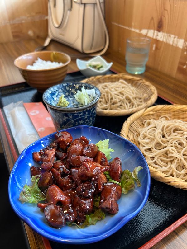 「東京と山梨」の写真：南アルプス市から静岡にいって帰ります