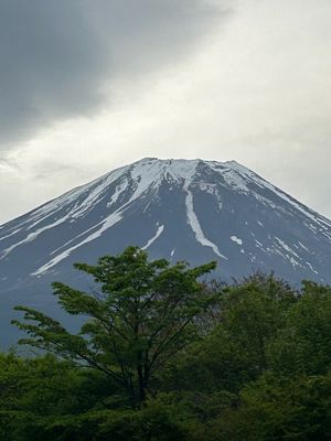 朝の富士山