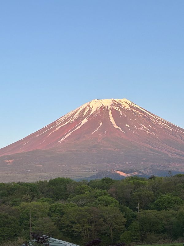 「東京と山梨」の写真：宿より