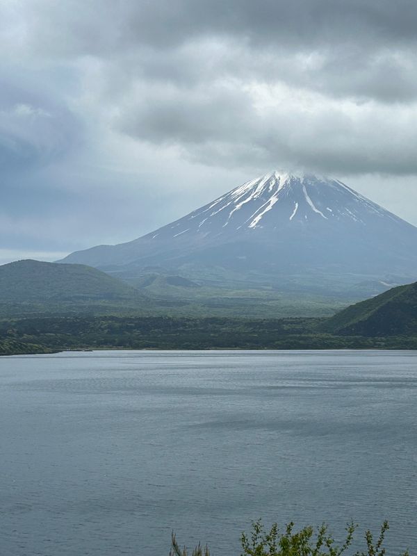 「東京と山梨」の写真