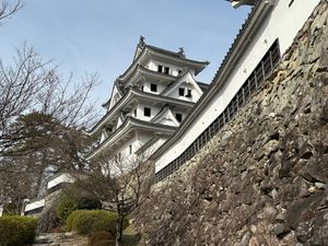 郡上八幡城。
道の駅で鮎雑炊。ソフトクリーム。