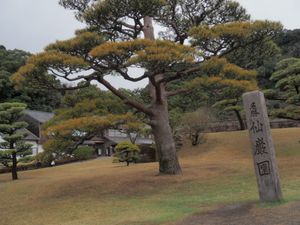 仙巌園
島津家が過ごした御殿