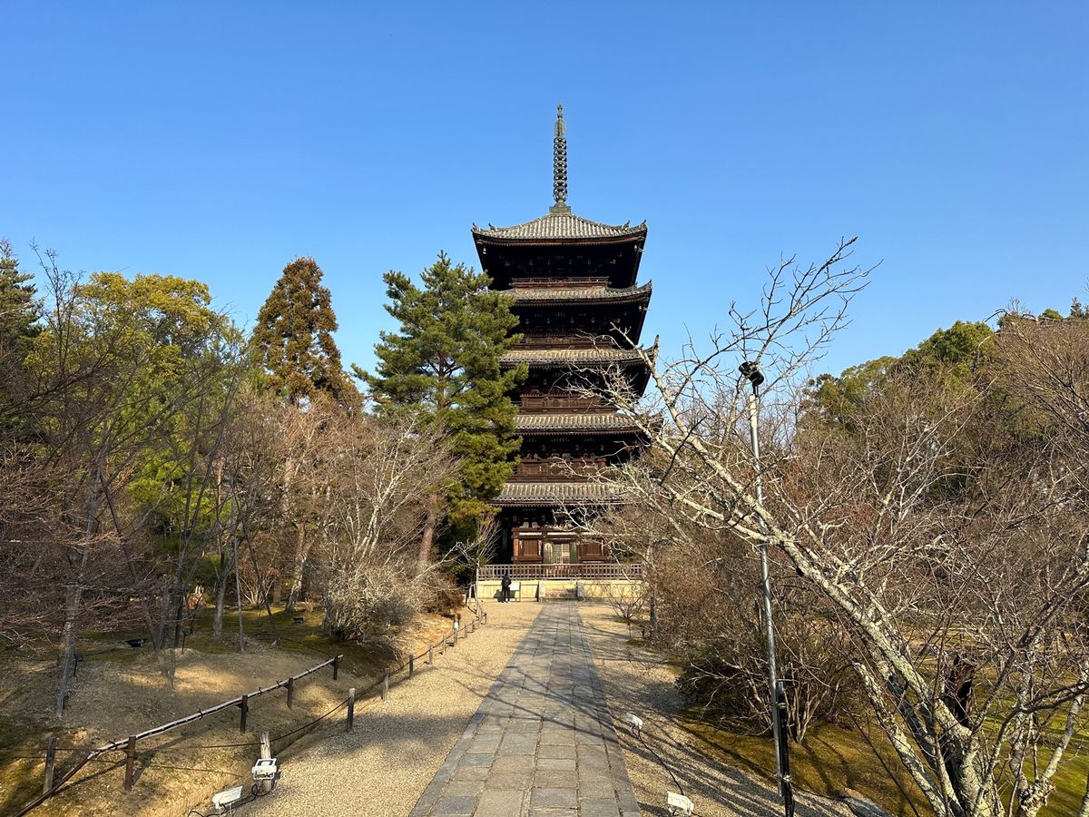 世界遺産鹿苑寺、龍安寺、仁和寺
そして京都御所