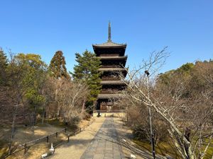 世界遺産鹿苑寺、龍安寺、仁和寺
そして京都御所