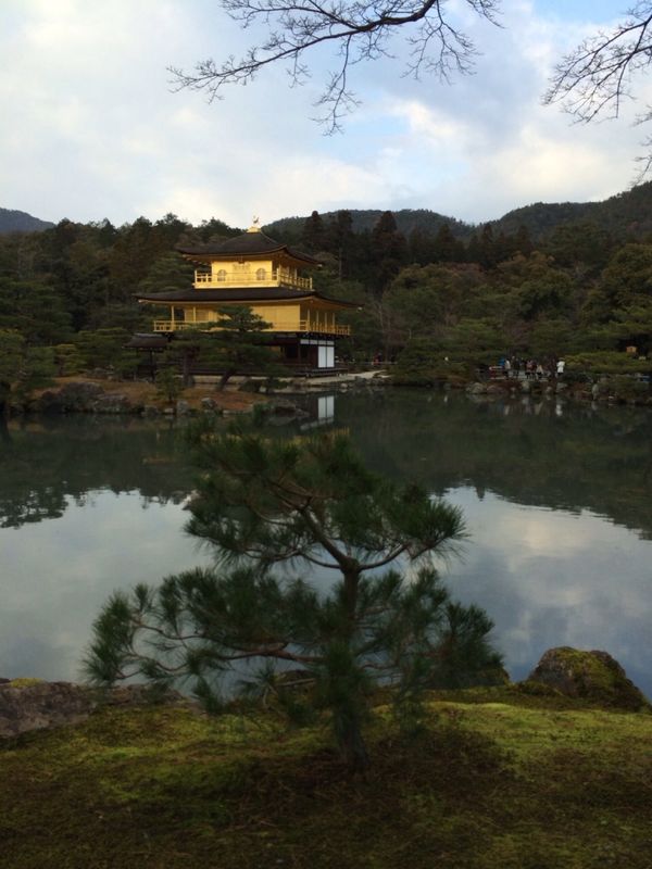 日本・京都府「京都大阪旅行」の写真