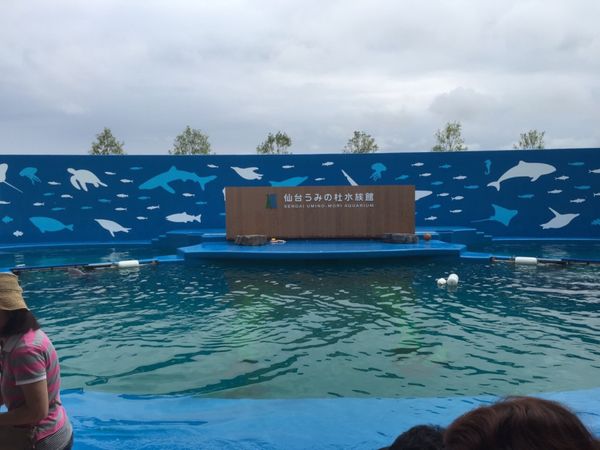 日本・宮城県「仙台お出かけ」の写真