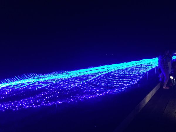 「那須お出かけ」の写真