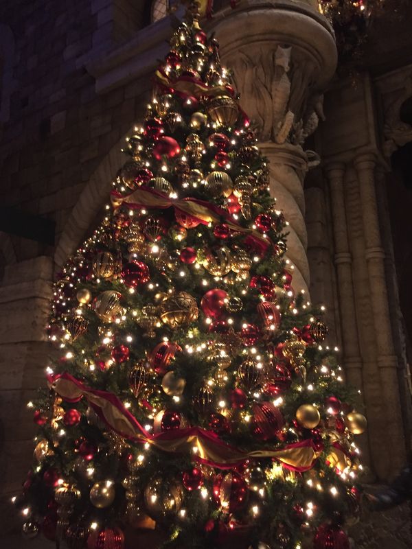 日本・千葉県「ディズニー」の写真