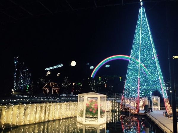 日本・栃木県「足利フラワーパーク」の写真