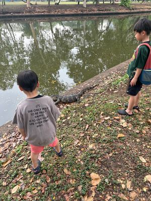 ルンピニー公園オオトカゲ〜ウィークエンドマーケット