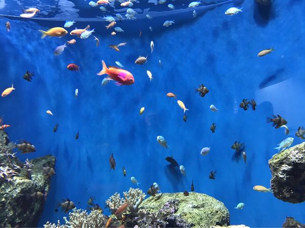 日本・宮城県「宮城旅行」の写真