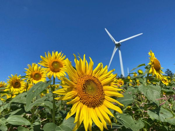 日本・福島県「布引高原」の写真