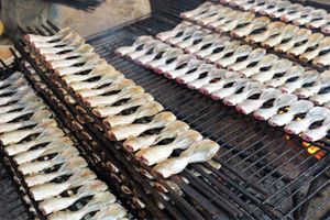 魚の加工