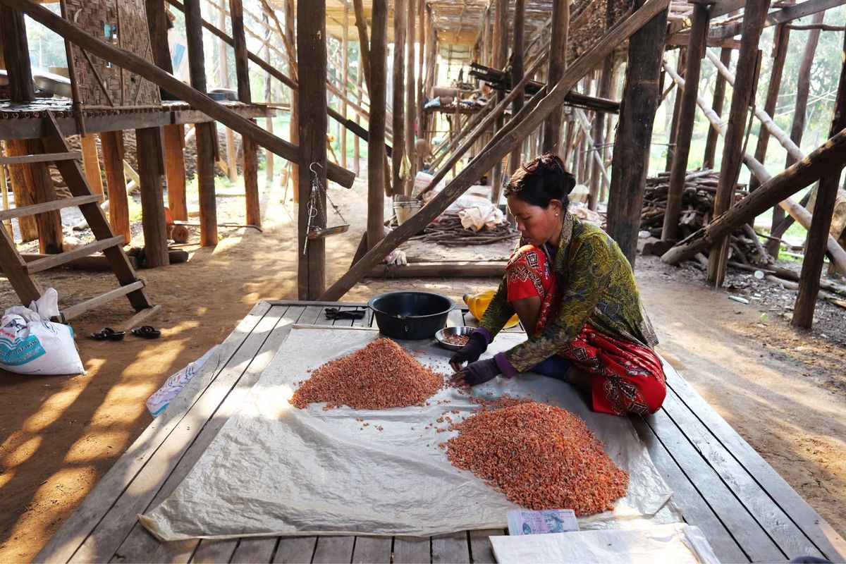 トンレサップ湖に行く途中の集落で
