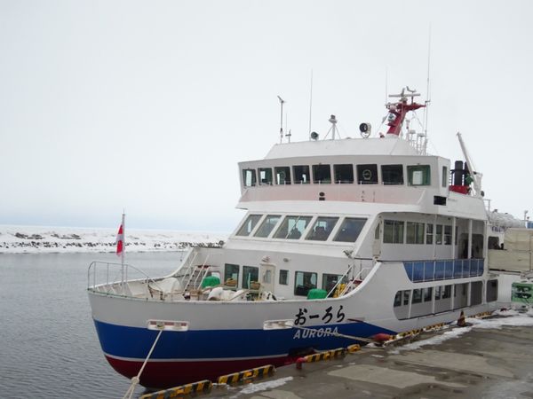 日本・北海道「北海道・知床流氷ツアー」の写真