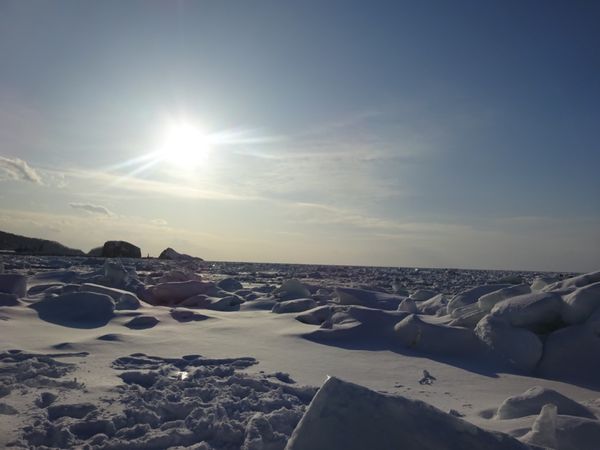 日本・北海道「北海道・知床流氷ツアー」の写真